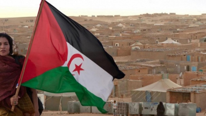 Recente decisão do Tribunal de Justiça da União Europeia sobre os Acordos Comerciais da UE com o Reino de Marrocos