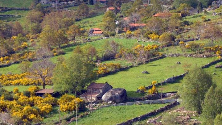 O desenvolvimento das zonas rurais tem de ser objectivo de todas as políticas sectoriais