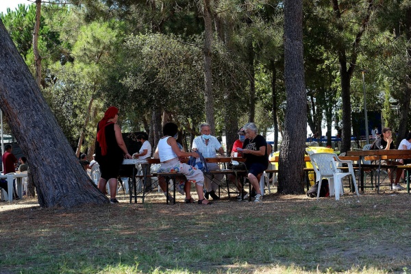 “Avante!” Festival 2020