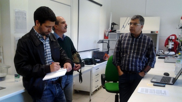 Jornadas de Trabalho dos deputados do PCP ao Parlamento Europeu «Produção Nacional, aparelho produtivo e desenvolvimento económico e social»