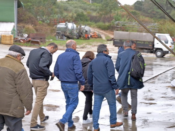 Visita a Exploração Leiteira